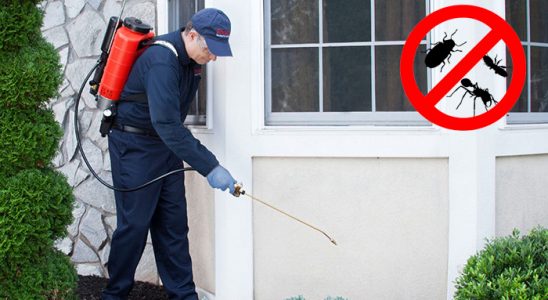 Balatçık Tahtakurusu İlaçlama böcek ilaçlama ve haşere kontrolü — ilaclama-tr.com
